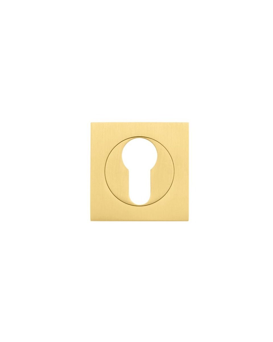 Zoo Hardware ZPZSQ001-FSB Square Escutcheon - Euro Profile Pvd Satin Brass