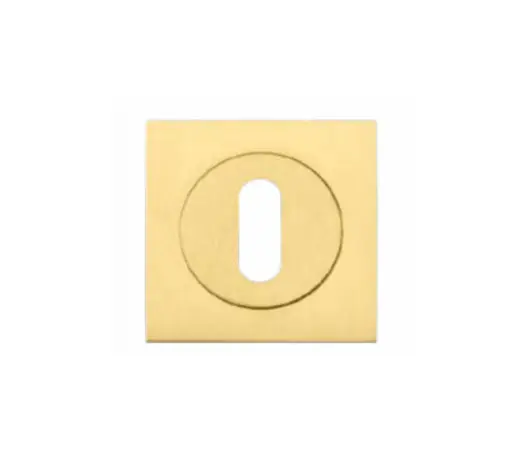 Zoo Hardware ZPZSQ002-FSB Square Escutcheon - Standard Keyway Pvd Satin Brass