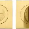 Zoo Hardware ZPZSQ004-FSB Turn & Release - on Square rose Pvd Satin Brass