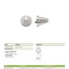 Zoo Hardware ZS-AL010-010 Anti Ligature knob on Rose - Int & Ext - Satin St Steel