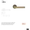 Treviri Mitred Round Bar Lever on Sprung Rose