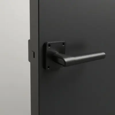 Matte Black Door Handles