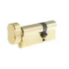 Polished Brass