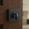 Charcoal Black