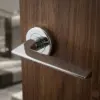 Polished Chrome