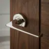 Polished Nickel