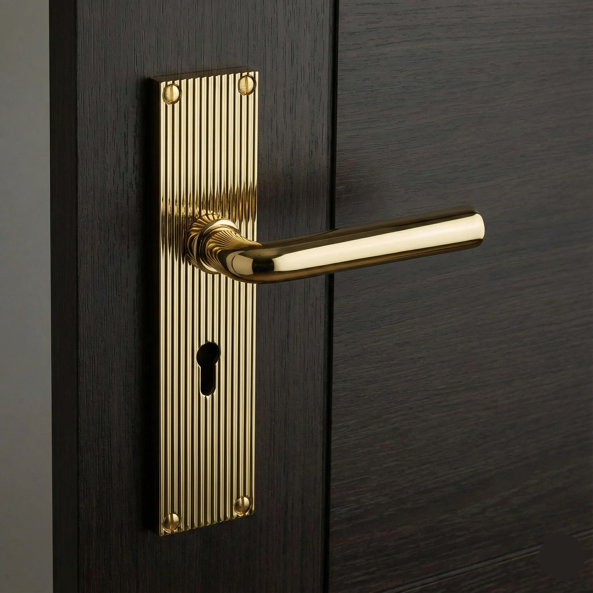 Smithson Luxury Slimline Interior Door Handle on Backplate