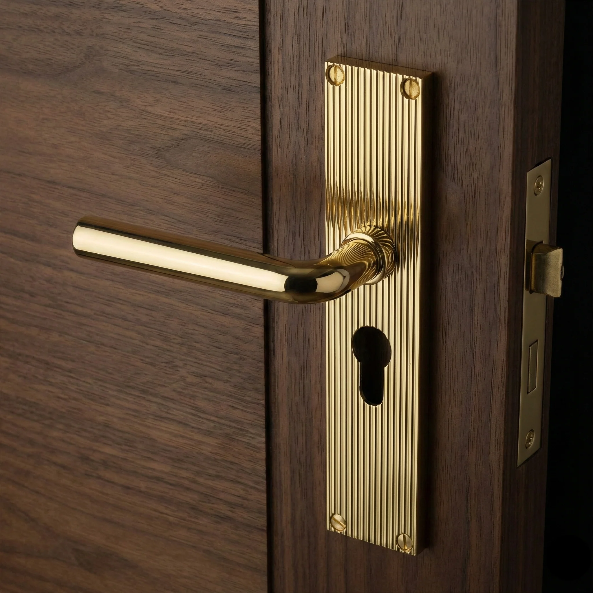Smithson Luxury Slimline Interior Door Handle on Backplate - Image 3