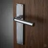 Polished Chrome