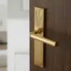 Polished Brass