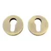 Linear Euro Key Escutcheon