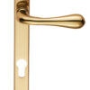 Polished Brass