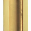 Polished Brass