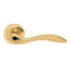 Polished Brass