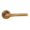Antique Brass