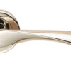 Polished Nickel