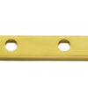 Polished Brass