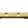Florentine Bronze