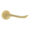Satin Brass