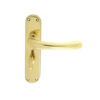 Polished Brass