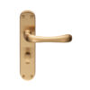 Satin Brass
