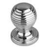Polished Chrome